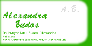 alexandra budos business card